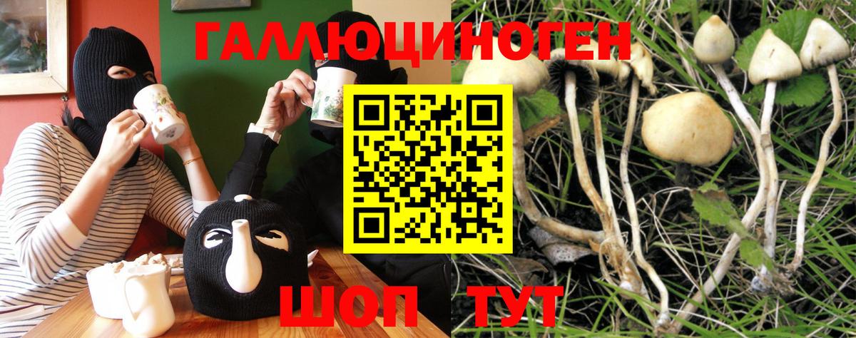 даркнет сайт  Галлюциногенные грибы GOLDEN TEACHER  Вход с VPN  Арзамас 